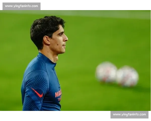 足球盛宴：盘点本赛季五大惊艳表现与赛场背后的战略博弈